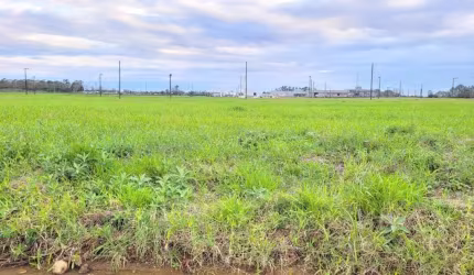 Terreno para Venda em Forquilhinha, Luiz Tiscoski