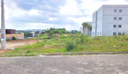 Terreno para Venda em Criciúma, Floresta