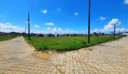 Terreno para Venda em Criciúma, Brasilia