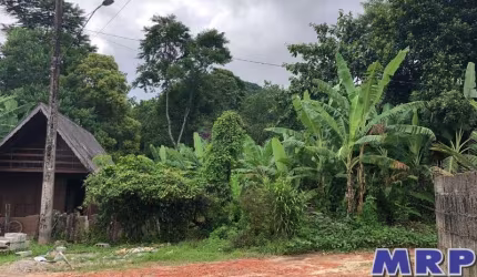Chacará em Ubatuba, com natureza exuberante, a 1km da praia do Sapê, bairro residencial.