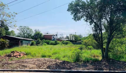 Terreno Comercial/Residencial no Bairro Passo das Pedras em Gravataí - RS