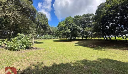 Chácara com 1 dormitório à venda, 11000 m² por R$ 850.000,00 - Campo Do Meio - Campo Largo/PR