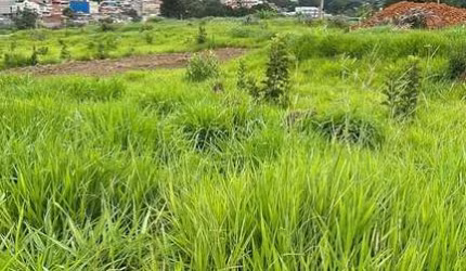 Terreno em Vila Cristo Redentor  -  Várzea Paulista