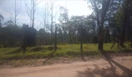 Terreno em Pau Arcado  -  Campo Limpo Paulista