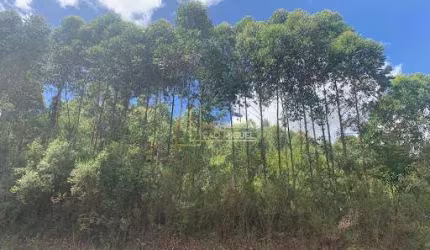 Terreno, à venda em Santa Maria do Herval, Vila Seger