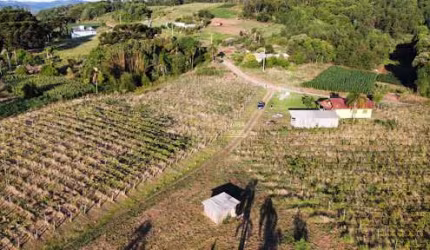 Excelente sítio a venda na cidade de Santa Maria do Herval - RS 