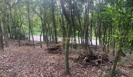 Terreno, 1400m², à venda em Morro Reuter, São Jose do Herval