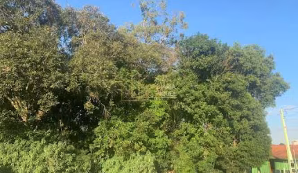 Terreno, 1195.42m², à venda em Dois Irmãos, Primavera