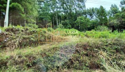 Terreno à venda em Nova Petrópolis - RS