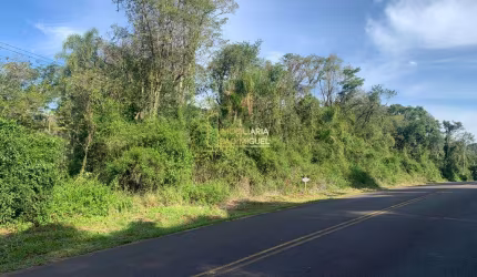 Excelente área de terras à venda no bairro Travessão, em Dois Irmãos - RS