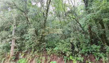 Terreno, 1.608,75m², à venda em Dois Irmãos, Portal da serra