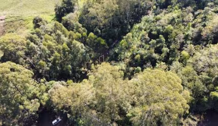 Terreno, 20000m², à venda em Dois Irmãos, Loteamento Jardim Bonamigo