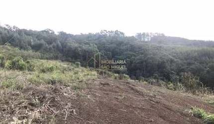 Linda área de terras em Dois Irmãos