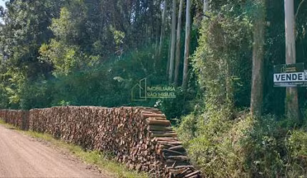 Área, à venda em Morro Reuter, Linha Cristo Rei