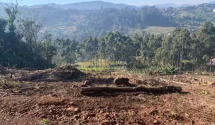 Área, 8900.1m², à venda em Dois Irmãos, Vale Esquerdo