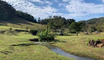 Sítio, 50000m², à venda em Morro Reuter, Linha Cristo Rei