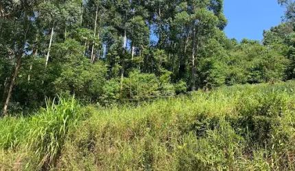 Chácara, à venda em Morro Reuter, Morro Reuter