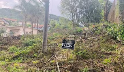 Terreno, 1270.62m², à venda em Morro Reuter, Centro