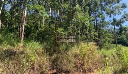 Chácara, à venda em Morro Reuter, Morro Reuter