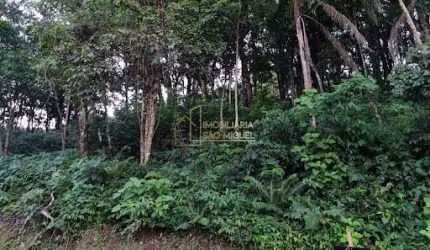 Terreno, à venda em Morro Reuter, Jardim Belvedere