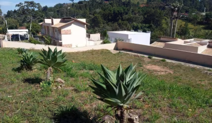 Terreno à venda - Jardim Parque das Palmeiras -  - Serra Negra/SP