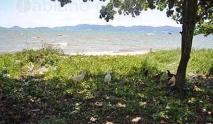 Terreno à venda, 430 m² por R$ 954.000,00 - Barreiros - São José/SC