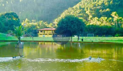 Sítio com 5 dorms, Papucaia, Papucaia - R$ 2.5 mi, Cod: 1587