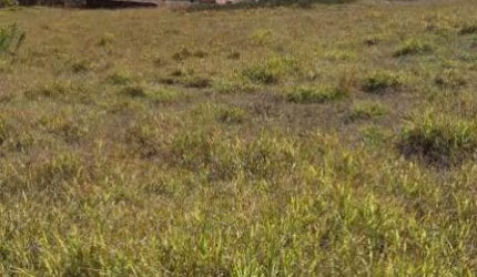 TERRENO PEDRA BELA BAIRRO DO TUNCUNS