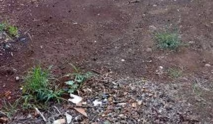 Terreno - Em rua Colinas