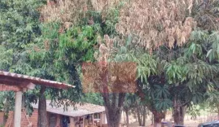 chácara em alvorada do sul