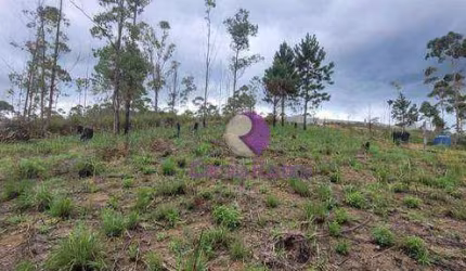 Terreno à venda, 2324 m² por R$ 148.000,00 - Clube dos Oficiais - Suzano/SP