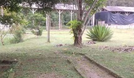 Chácara com 2 dormitórios à venda, 12000 m² por R$ 550.000,00 - Quatinga - Mogi das Cruzes/SP