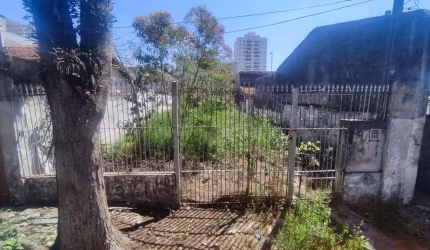 Terreno, 200 m² - venda por R$ 420.000,00 ou aluguel por R$ 2.150,00/mês - Vila Bela Vista - Suzano/SP