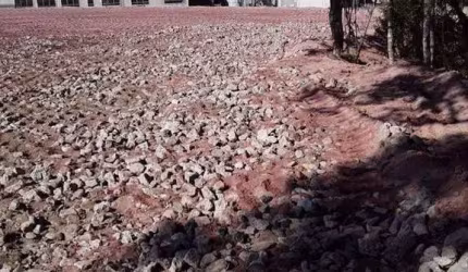 Lote/Terreno para venda e locação, Ipelândia - Suzano