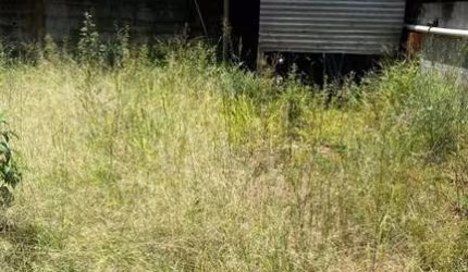 Terreno para Locação em Barueri, Jardim Flórida
