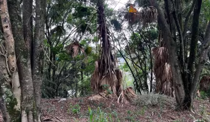 Terreno em Condomínio para Venda em Barueri, Residencial Tamboré