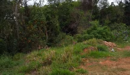 Terreno para Venda em Piedade, Jurupara