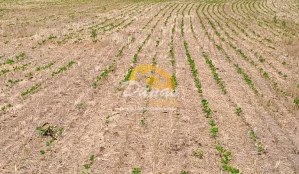 AMPLA ÁREA RURAL EM SANTO ANTÔNIO DA PATRULHA