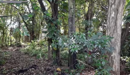 Terreno à venda, 1476 m² por R$ 1.500.000 - São Luís - Volta Redonda/RJ