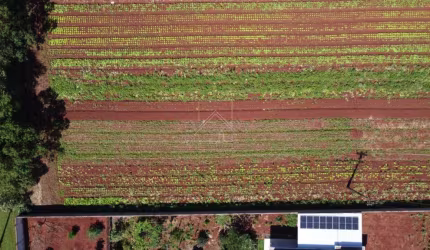 Chácaras a venda no Loteamento Mata Verde em Foz do Iguaçu