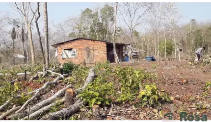 CHÁCARA / SITIO para venda ZONA RURAL POCONÉ - 26532