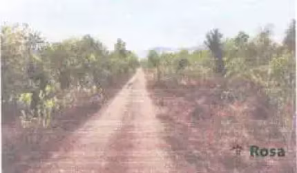 Fazenda para venda, Estrada do Coxipó do Ouro, Santo Antonio do Leveger - FA7235