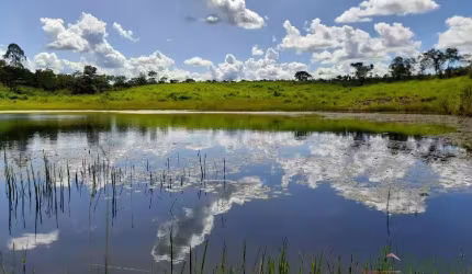 Fazenda para venda SÃO MATEUS VÁRZEA GRANDE - 23887