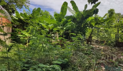 Terreno para venda COOPHEMA Cuiabá - 24345