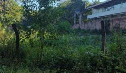Terreno à venda, 2500 m² por R$ 700.000 - Tarumã - Manaus/AM