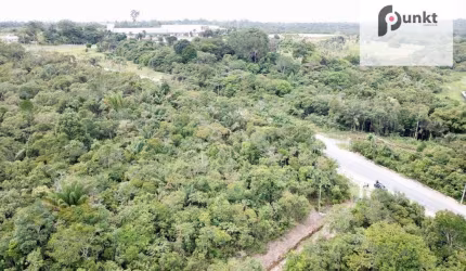 Terreno à venda, na AM 010 KM 13, 37864 m² por R$ 2.300.000 - Novo Israel - Manaus/AM