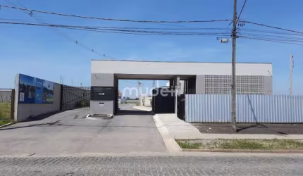 Terreno à venda no bairro Ipê - São José dos Pinhais/PR