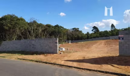 Terreno à venda, 390 m² por R$ 410.000,00 - Vila Delurdes - Campo Largo/PR