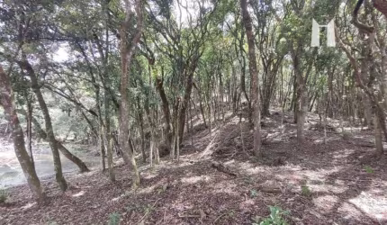 Chácara à venda, 20000 m² por R$ 970.000,00 - Colônia Cristina - Campo Largo/PR