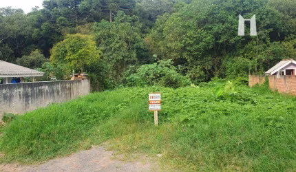 Terreno à venda, 562 m² por R$ 99.999,00 - Jardim Paraíso Mineral - Campo Largo/PR